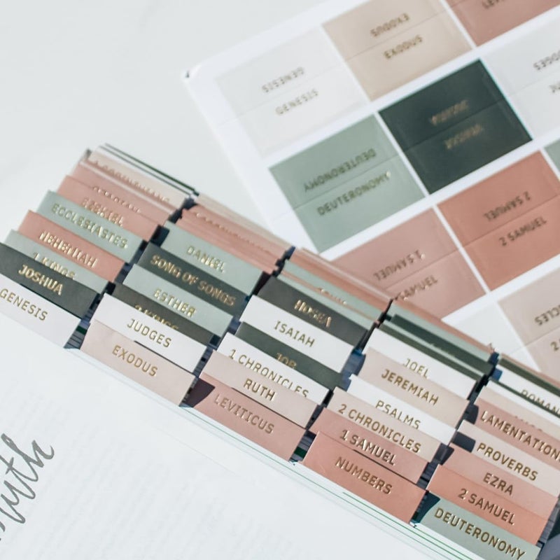 Daybreak 41 Laminated Bible Tabs for Women Study Bible - Earth Tone Neutral Gold Foil Bible Index Tabs for Men (Willow) - Image 1